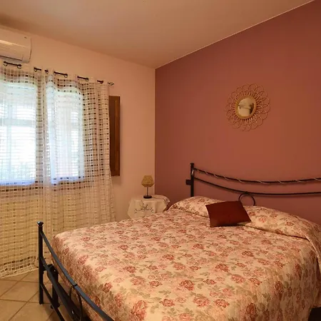Apartment Pet Friendly In