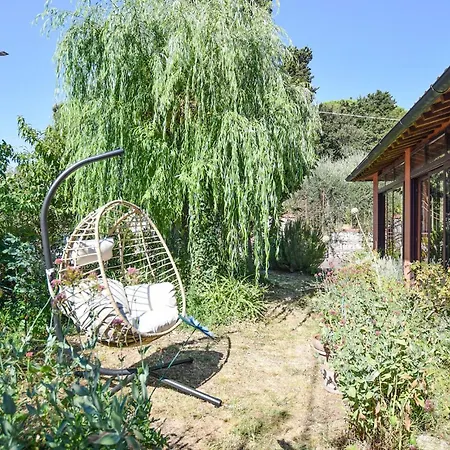 Apartment Pet Friendly In *